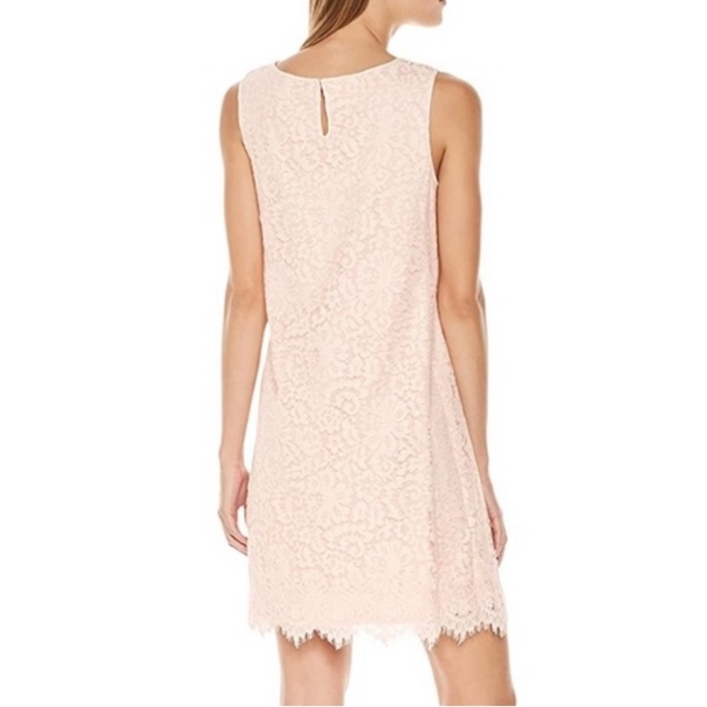 💕 MAX STUDIO ~ Pink Lace Sheath Dress ~ Size Small - Picture 2 of 7